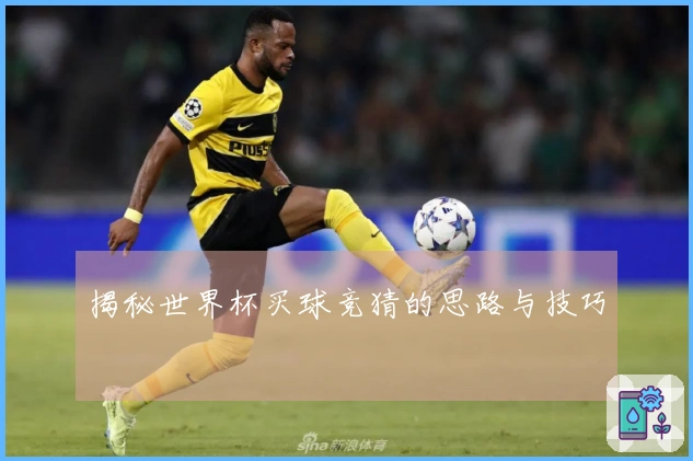 揭秘世界杯买球竞猜的思路与技巧