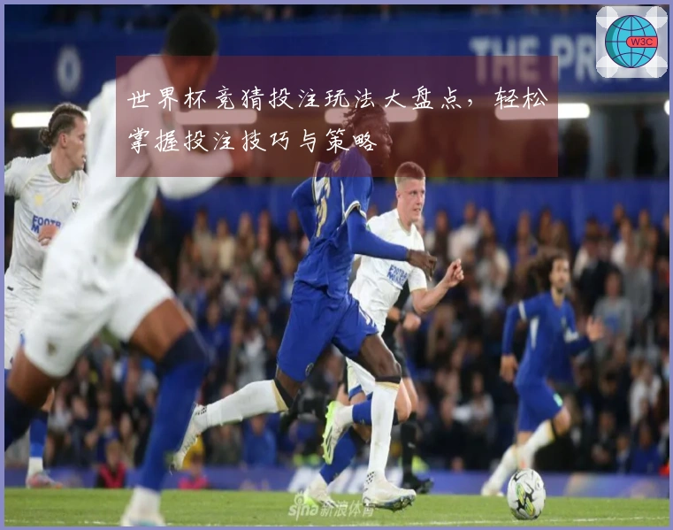 世界杯竞猜投注玩法大盘点，轻松掌握投注技巧与策略