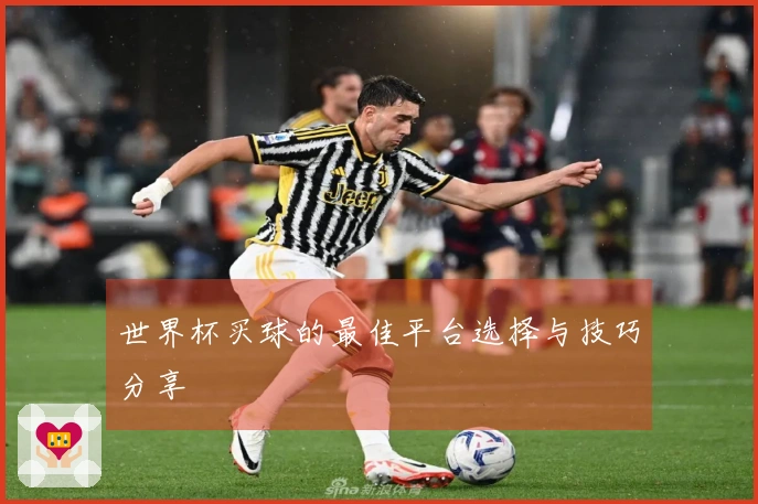 世界杯买球的最佳平台选择与技巧分享
