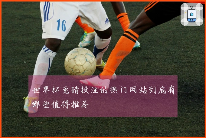 世界杯竞猜投注的热门网站到底有哪些值得推荐