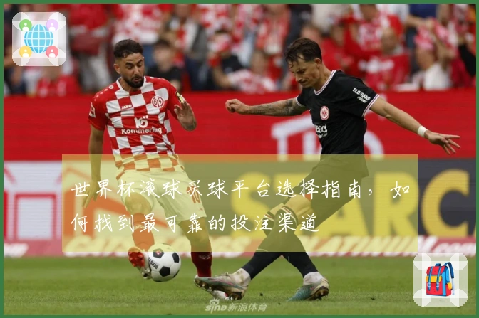 世界杯滚球买球平台选择指南，如何找到最可靠的投注渠道