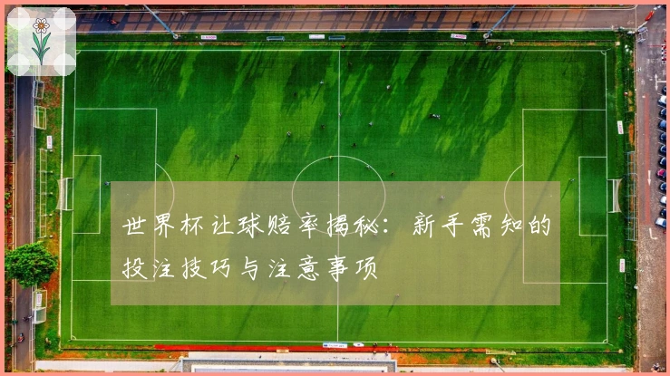 世界杯让球赔率揭秘：新手需知的投注技巧与注意事项