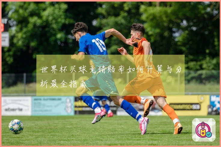 世界杯买球竞猜赔率如何计算与分析最全指南