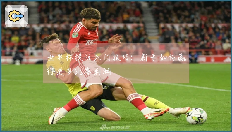 世界杯投注入门技巧:新手如何赢得更多比赛利润