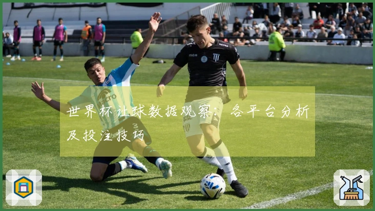 世界杯让球数据观察：各平台分析及投注技巧