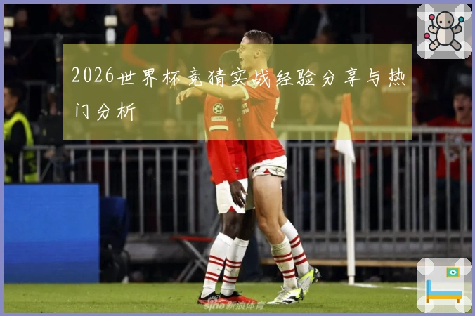 2026世界杯竞猜实战经验分享与热门分析