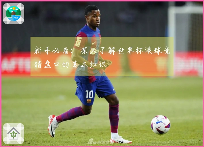 新手必看：深入了解世界杯滚球竞猜盘口的基本知识