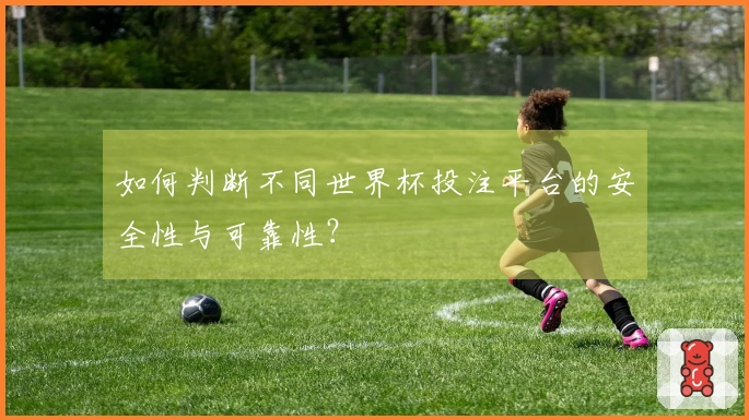 如何判断不同世界杯投注平台的安全性与可靠性？