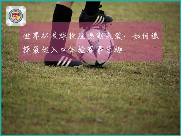 世界杯滚球投注热潮来袭，如何选择最优入口体验赛事乐趣