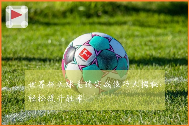 世界杯买球竞猜实战技巧大揭秘,轻松提升胜率