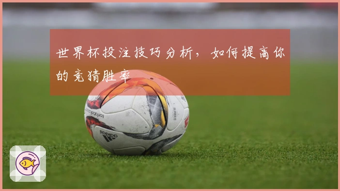 世界杯投注技巧分析，如何提高你的竞猜胜率