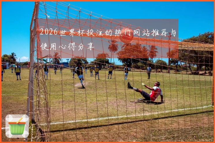 2026世界杯投注的热门网站推荐与使用心得分享