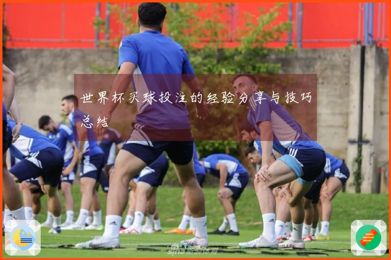 世界杯买球投注的经验分享与技巧总结