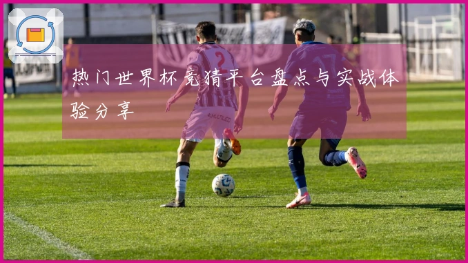 热门世界杯竞猜平台盘点与实战体验分享