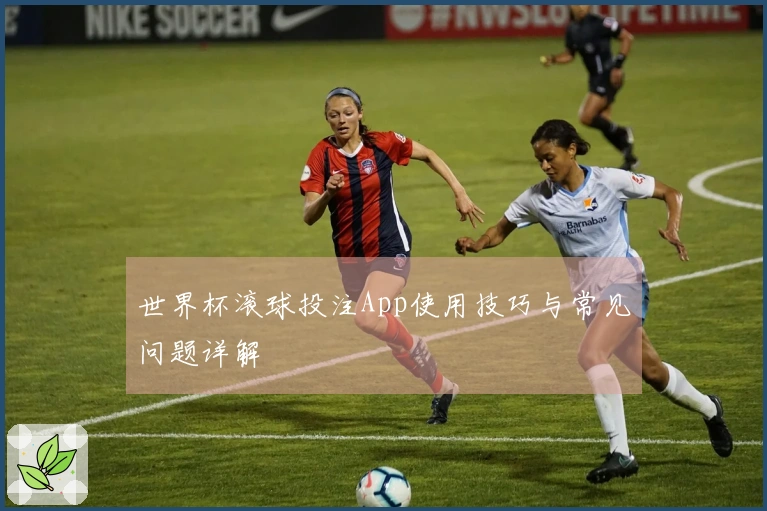 世界杯滚球投注App使用技巧与常见问题详解