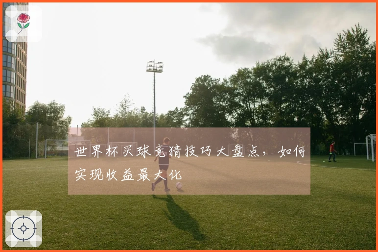 世界杯买球竞猜技巧大盘点,如何实现收益最大化