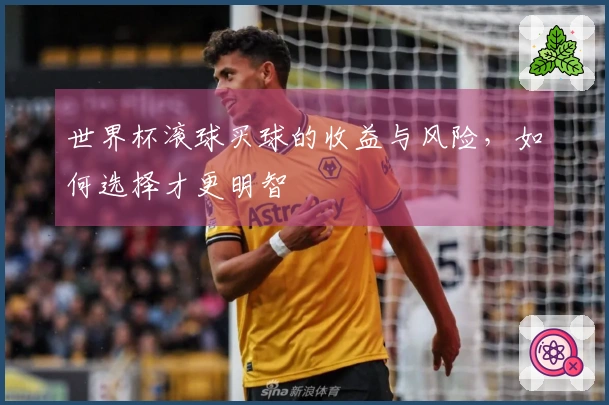 世界杯滚球买球的收益与风险，如何选择才更明智