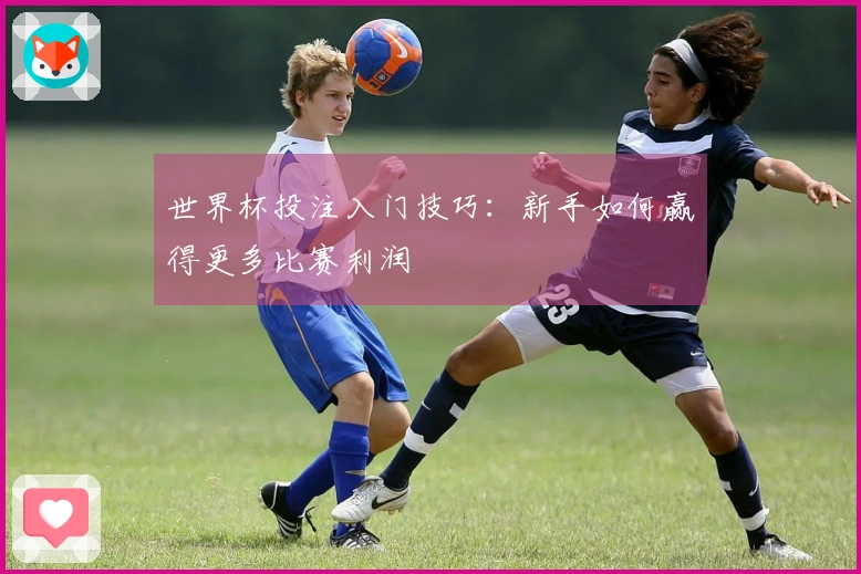 世界杯投注入门技巧：新手如何赢得更多比赛利润