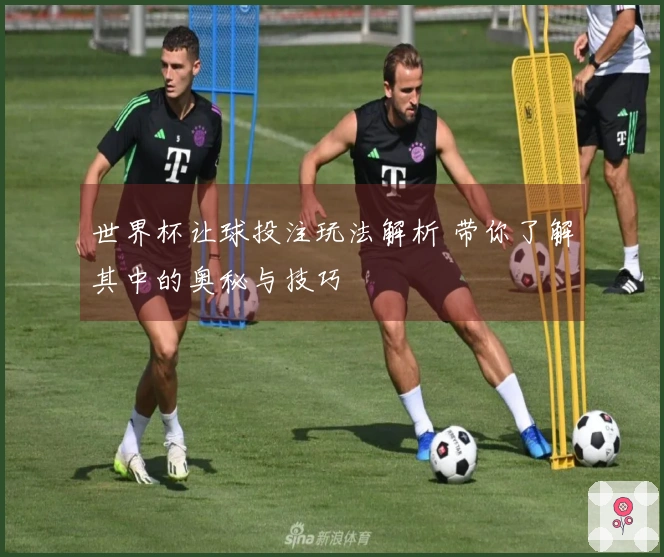 世界杯让球投注玩法解析 带你了解其中的奥秘与技巧
