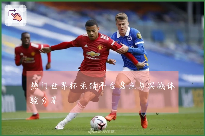 热门世界杯竞猜平台盘点与实战体验分享
