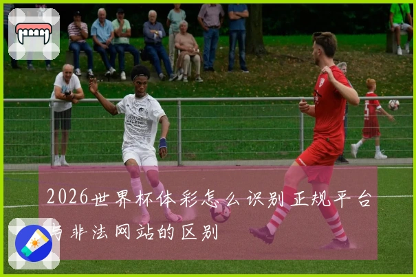 2026世界杯体彩怎么识别正规平台与非法网站的区别